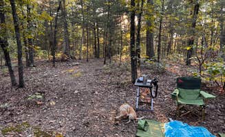 Dan P.'s photo at Pine Hollow 1045 Dispersed Camping near Cassville, MO