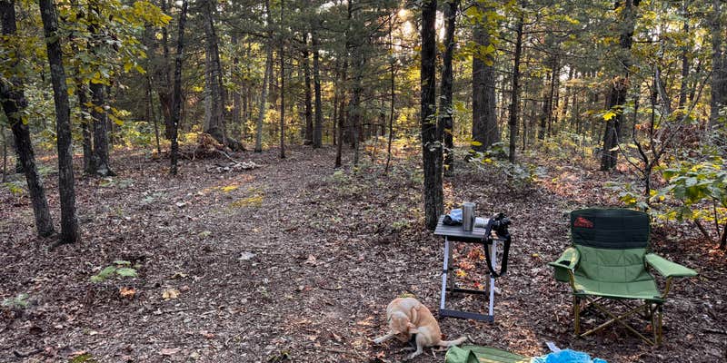 Camper submitted image from Pine Hollow 1045 Dispersed Camping