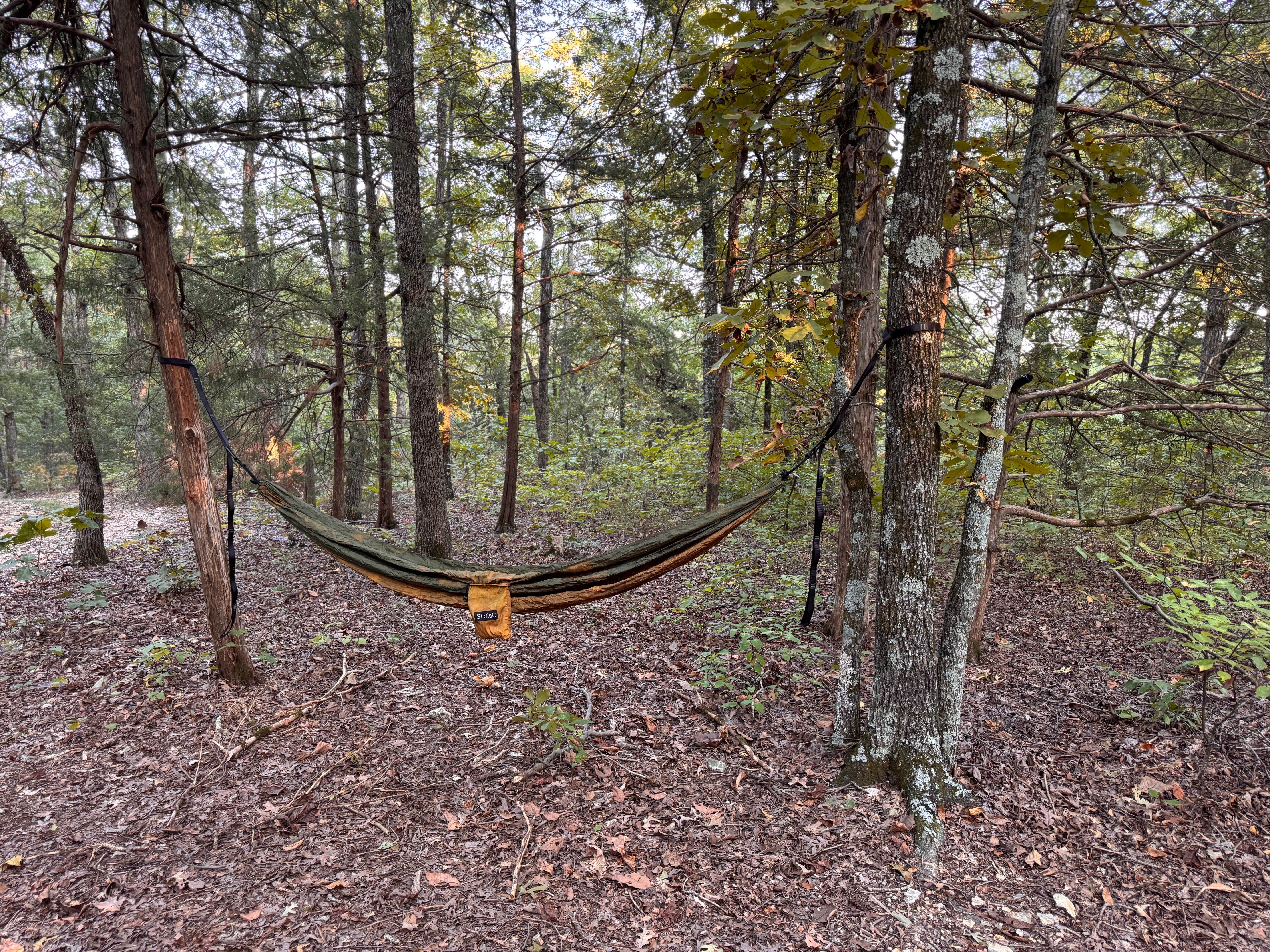 Camper-submitted photo at Pine Hollow 1045 Dispersed Camping near Fayetteville, AR