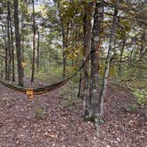 Review photo of Pine Hollow 1045 Dispersed Camping by Dan P., October 3, 2025