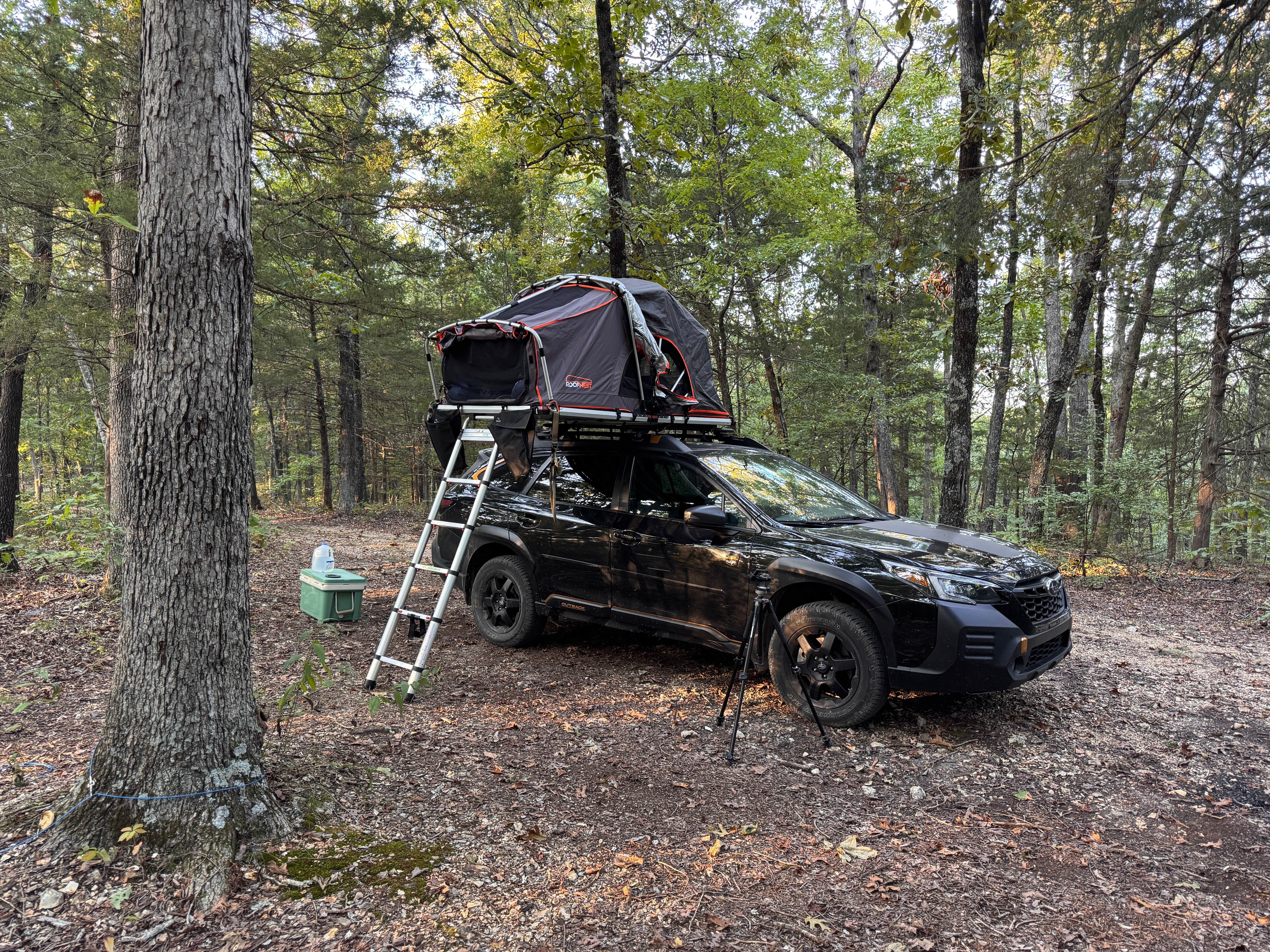 Camper-submitted photo at Pine Hollow 1045 Dispersed Camping near Fayetteville, AR