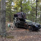 Review photo of Pine Hollow 1045 Dispersed Camping by Dan P., October 3, 2025