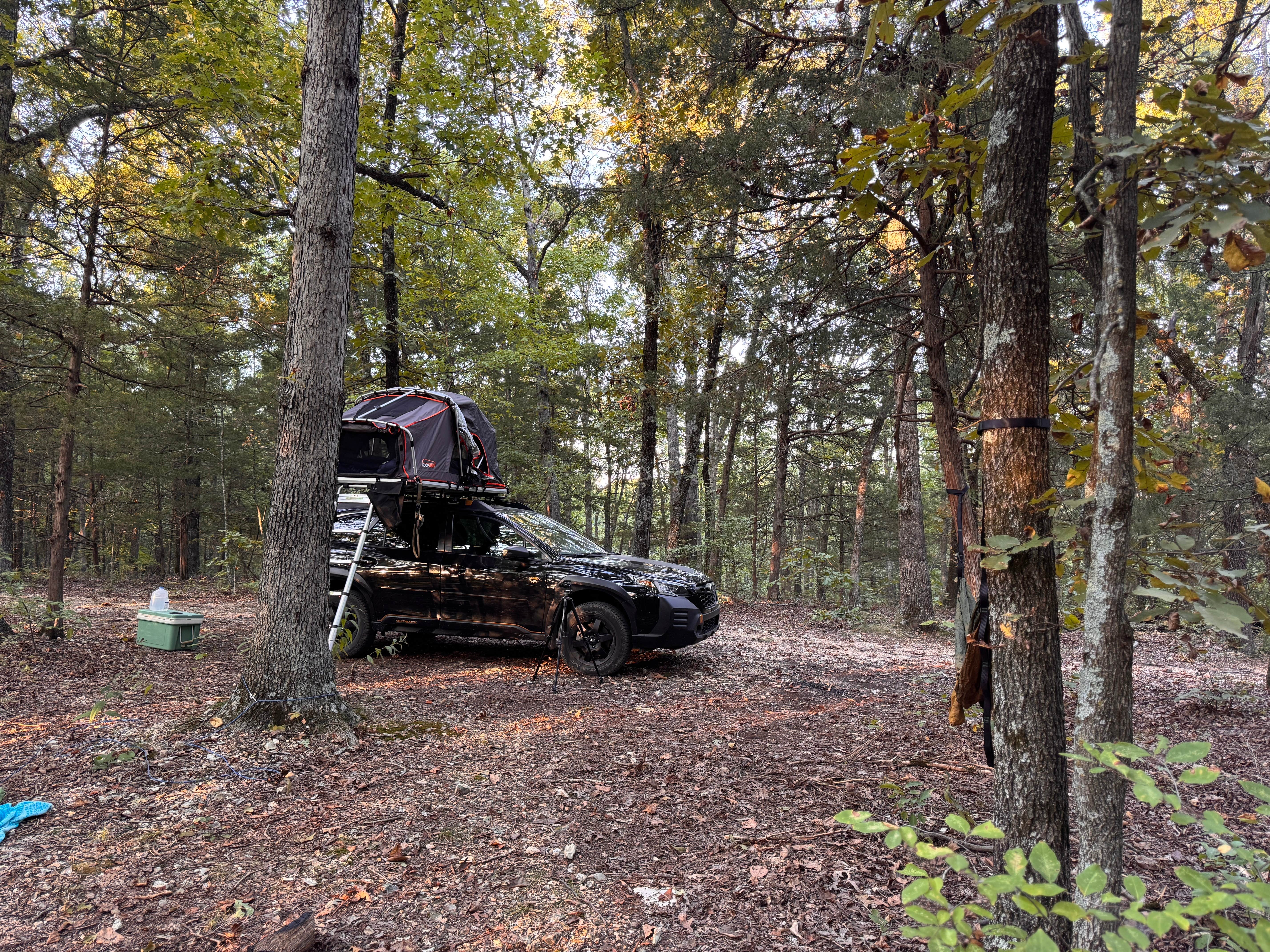 Camper-submitted photo at Pine Hollow 1045 Dispersed Camping near Fayetteville, AR