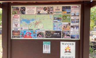 Connie H.'s photo of camping with pets at Pine Knot Campground near Mojave River Dam