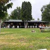 Review photo of Pine Near RV Park by Rik H., June 26, 2026