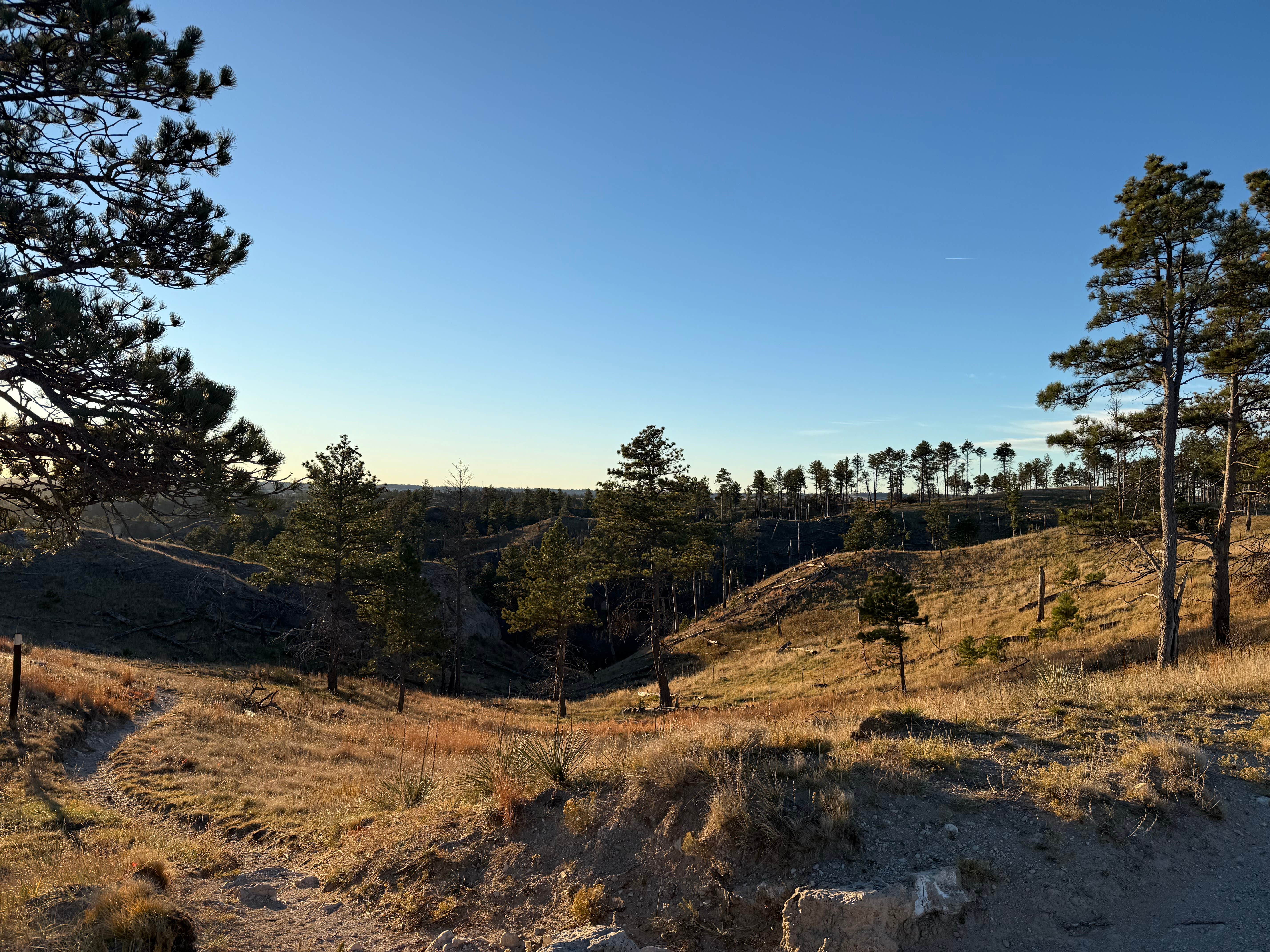 Camper submitted image from Pine Ridge Dispersed Camping - 1