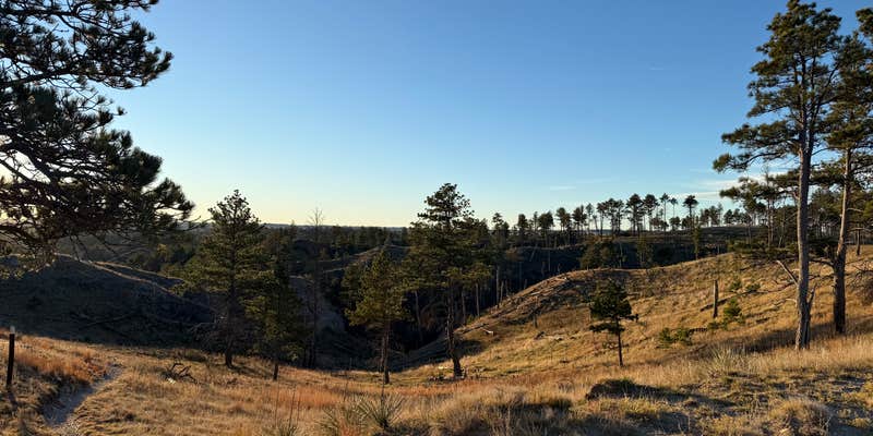 Camper submitted image from Pine Ridge Dispersed Camping