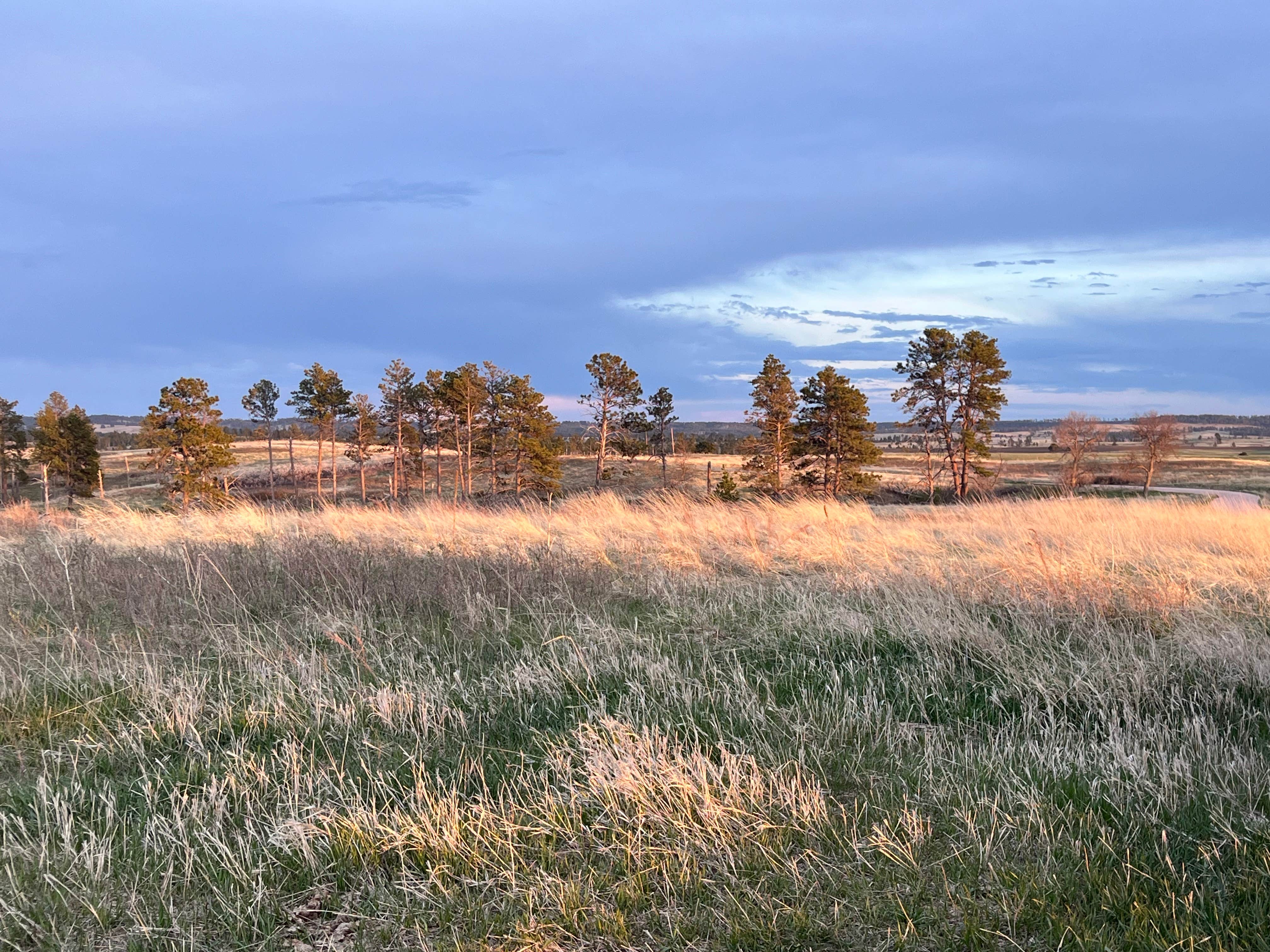 Camper-submitted photo at Pine Ridge Dispersed Camping in Nebraska