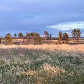 Review photo of Pine Ridge Dispersed Camping by Wild Berries B., May 2, 2024