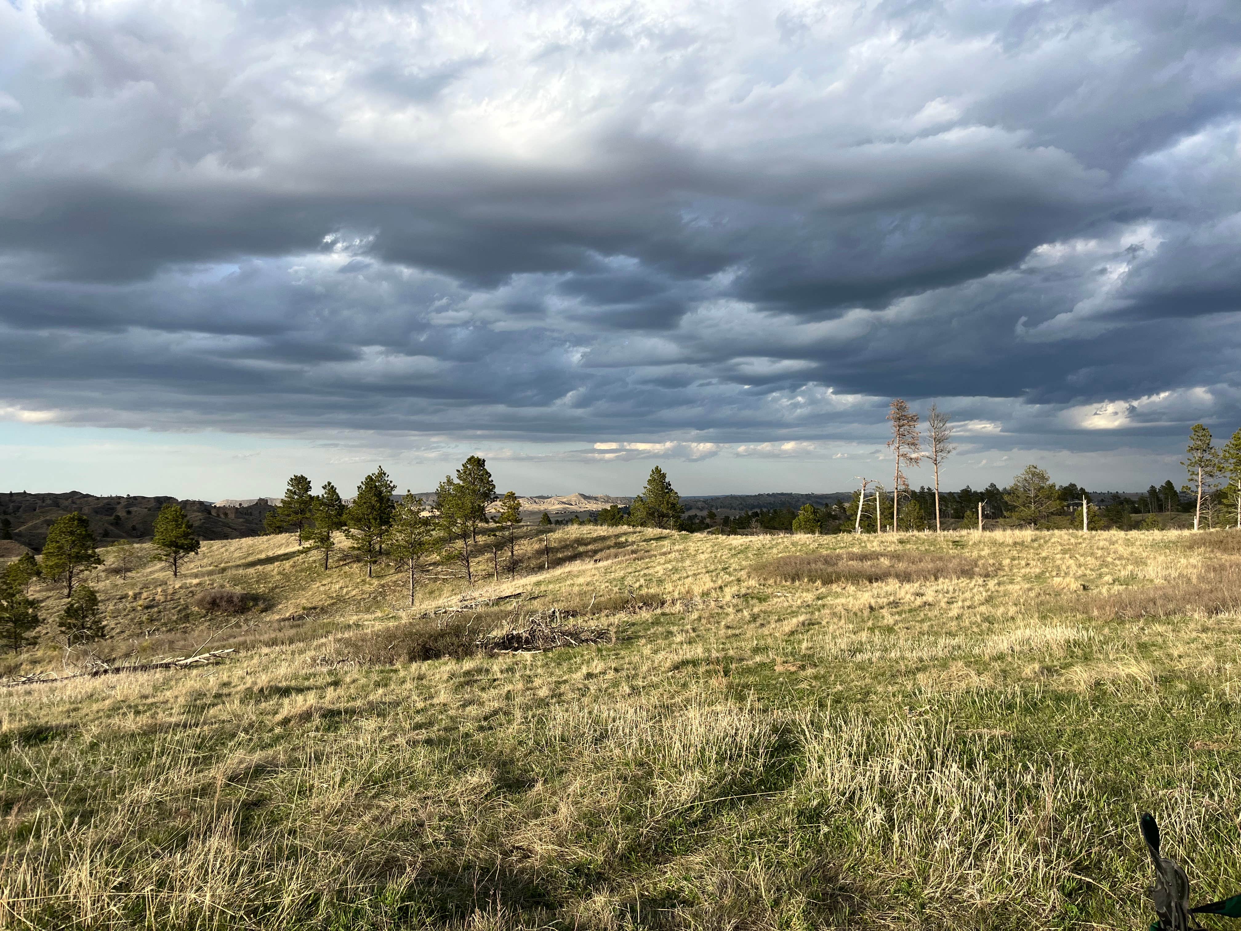 Camper-submitted photo at Pine Ridge Dispersed Camping in Nebraska