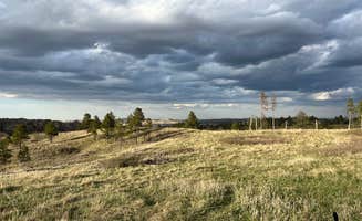 Wild Berries B.'s photo of a dispersed camping area at Pine Ridge Dispersed Camping near Nebraska National Forests and Grasslands