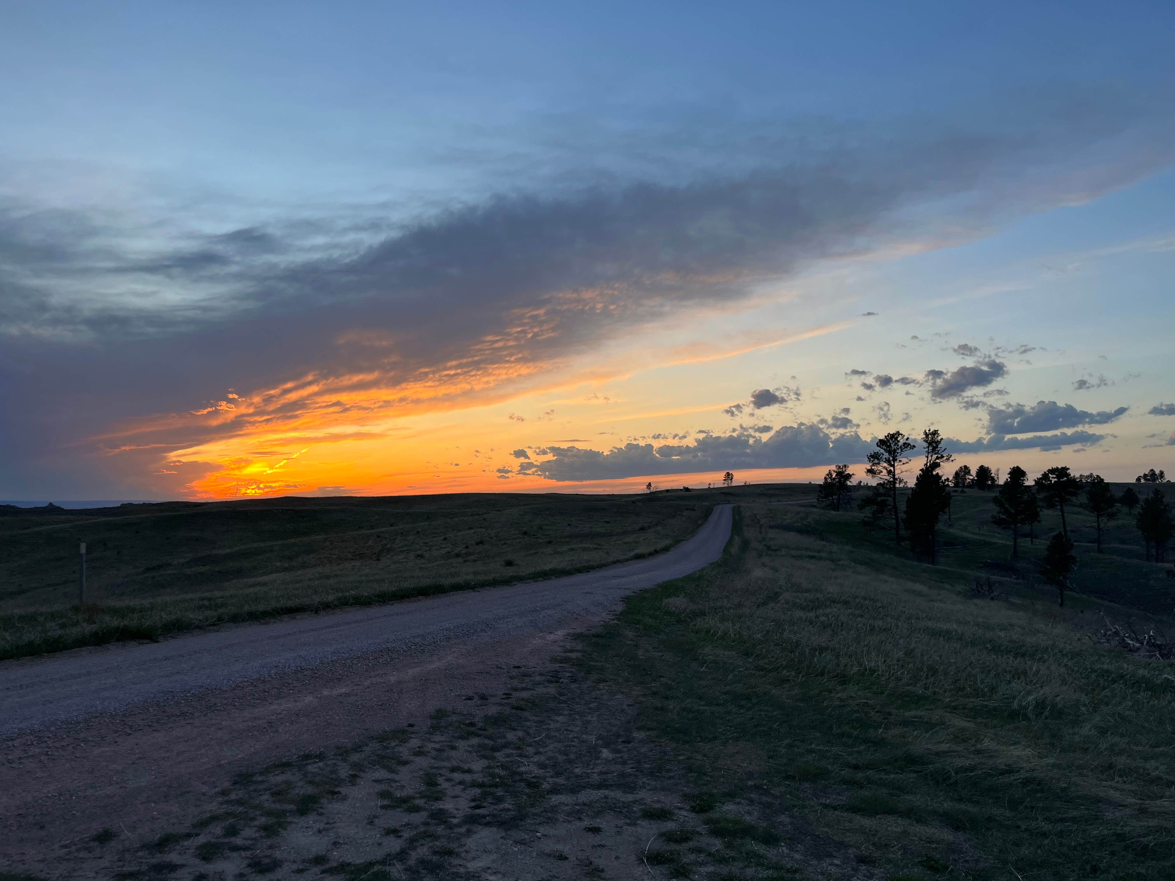 Wild Berries B.'s photo of a dispersed camping area at Pine Ridge Dispersed Camping in Nebraska