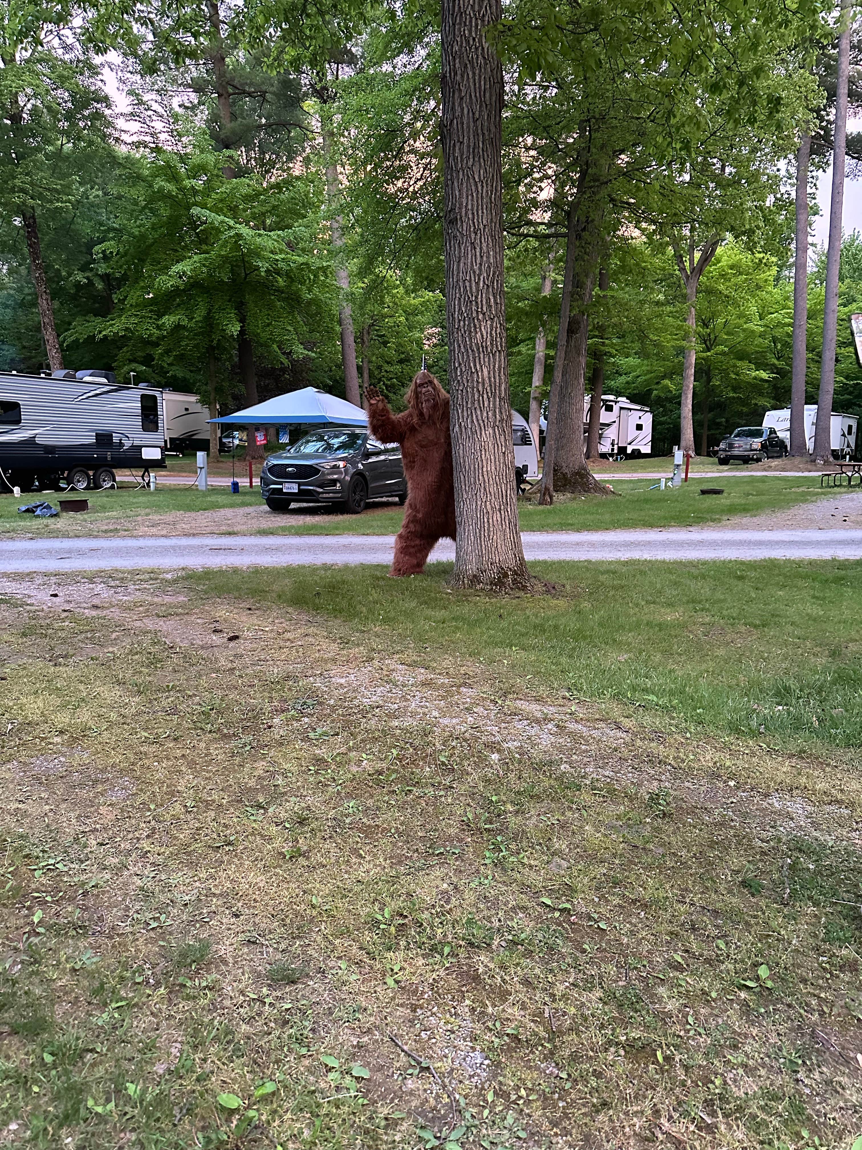 Camper-submitted photo at Pine Ridge RV Campground near Hamilton, MI