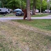 Review photo of Pine Ridge RV Campground by Dawn W., May 20, 2024