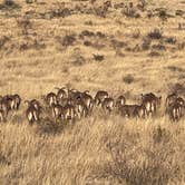 Review photo of Pine Springs Campground by Kennon H., January 23, 2026