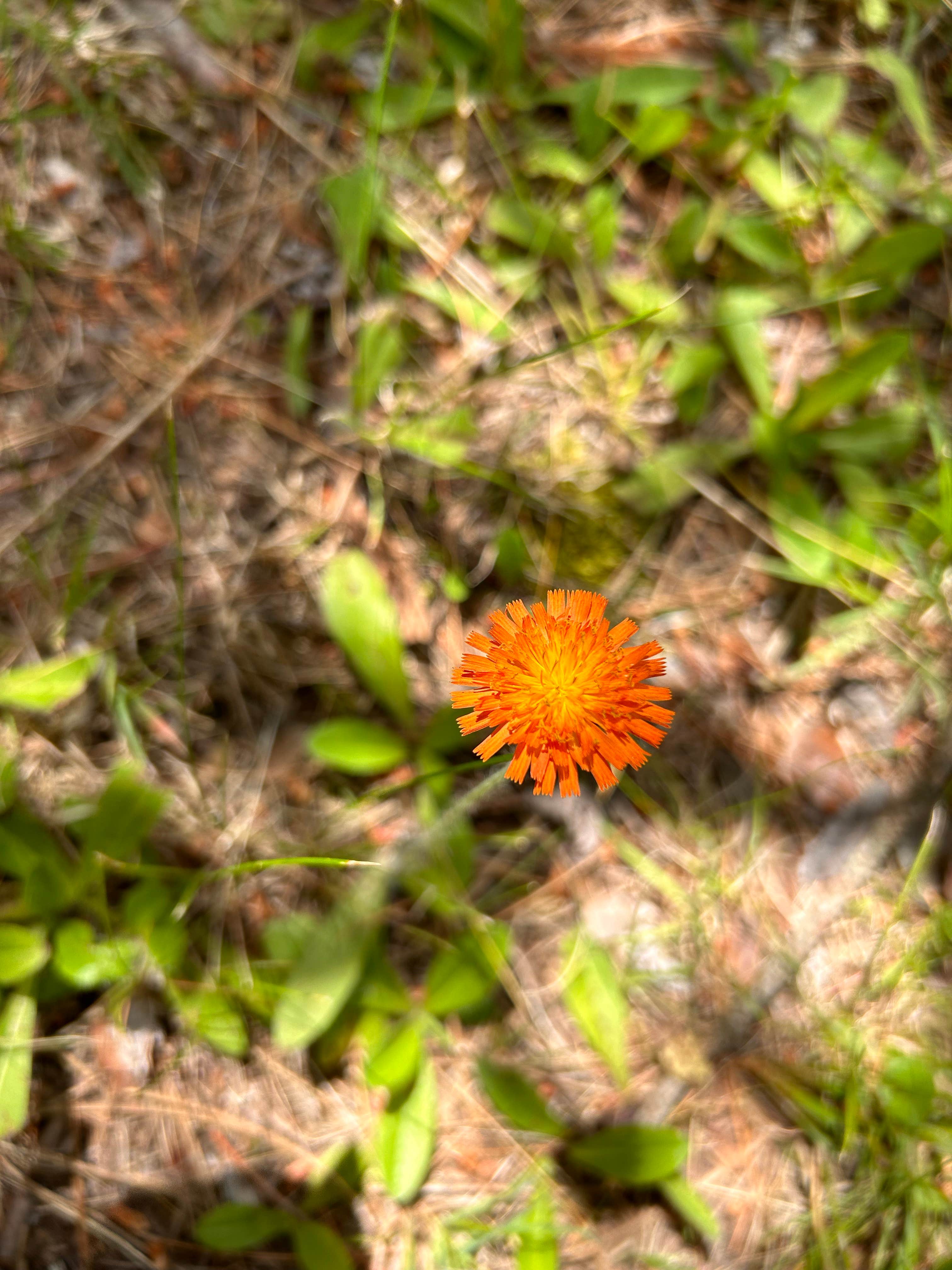 Camper-submitted photo at Pine Valley Lodge near Irma, WI