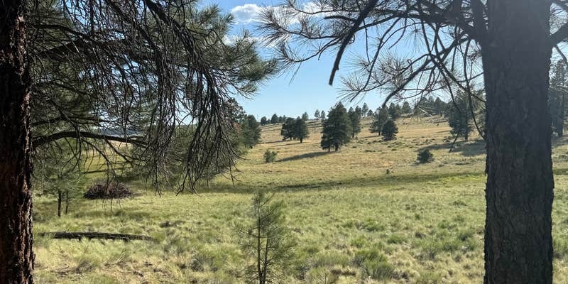 Camper submitted image from Camp Navajo/Pine View RV Park