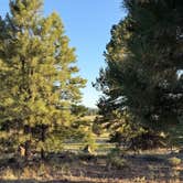 Review photo of Camp Navajo/Pine View RV Park by Nickie F., July 24, 2025