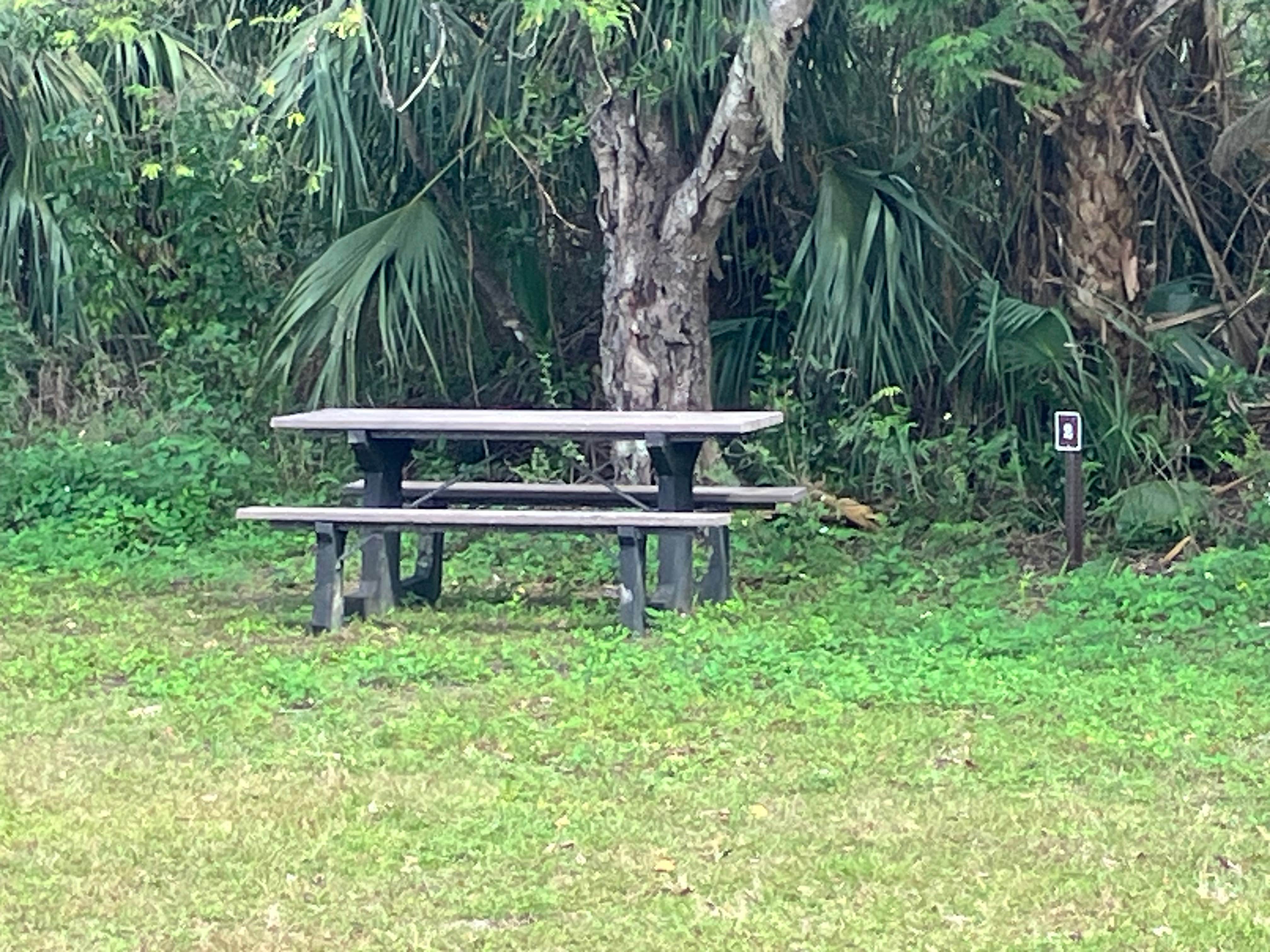 Camper-submitted photo at Pinecrest Group Campground — Big Cypress National Preserve near Everglades National Park
