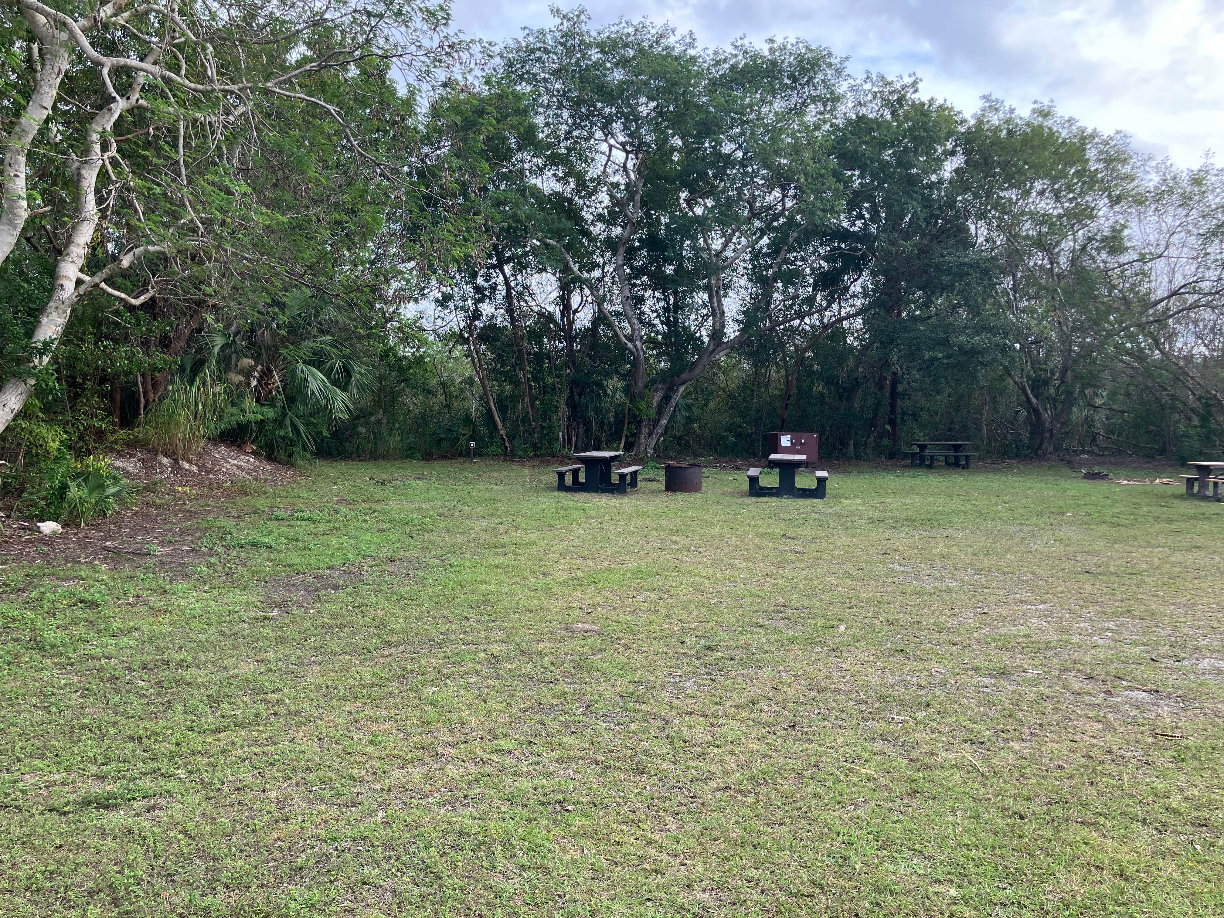 Camper-submitted photo at Pinecrest Group Campground — Big Cypress National Preserve near Everglades National Park