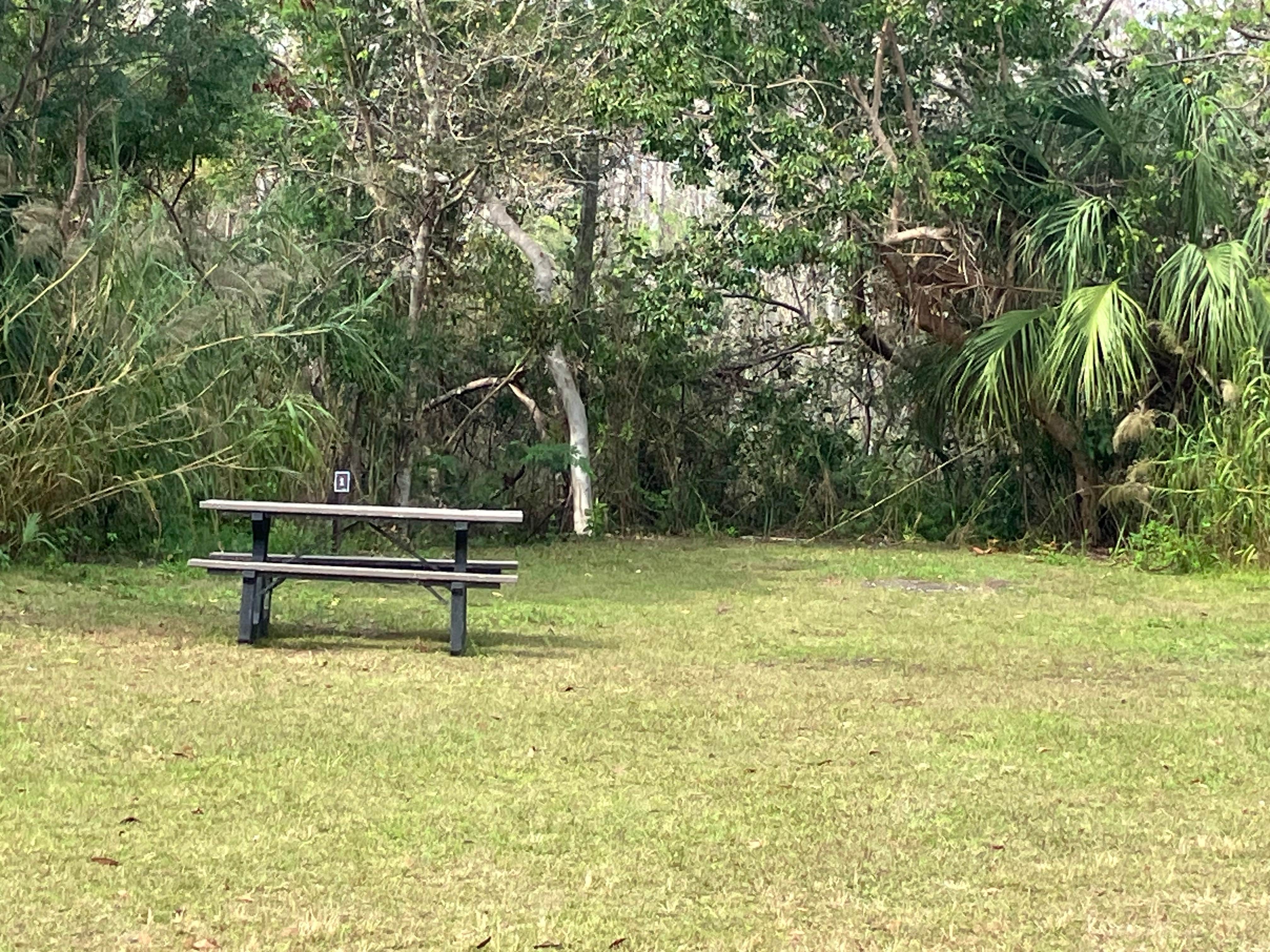 Camping near Midway Campground — Big Cypress National Preserve: Pinecrest Group Campground — Big Cypress National Preserve, Ochopee, Florida