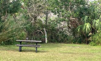 Camping near Seven Mile Camp on the Florida Trail: Pinecrest Group Campground — Big Cypress National Preserve, Ochopee, Florida