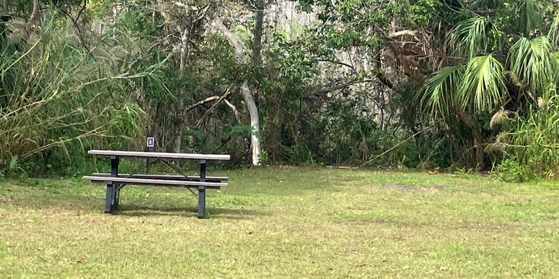 Camper submitted image from Pinecrest Group Campground — Big Cypress National Preserve