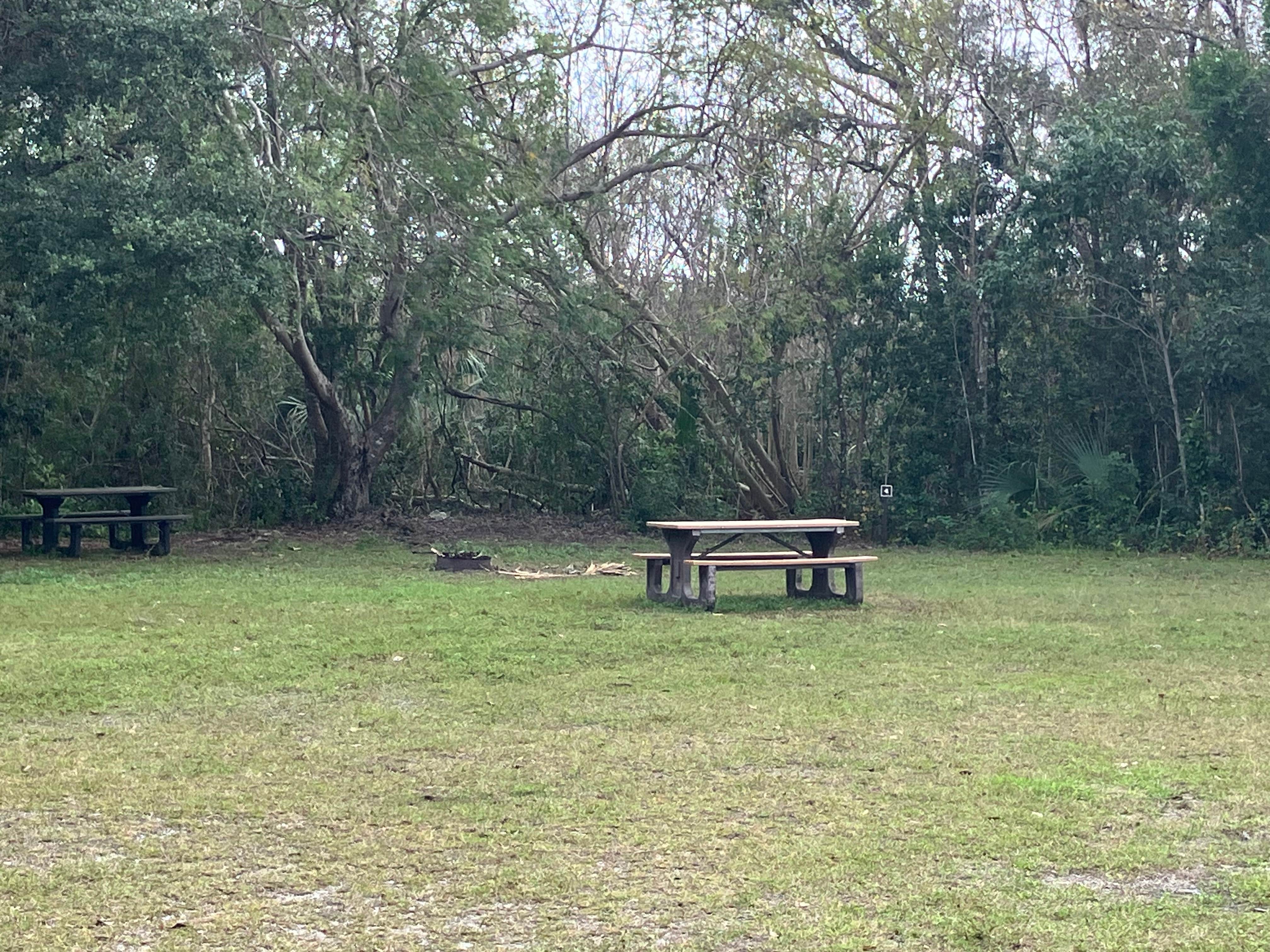 Camper-submitted photo at Pinecrest Group Campground — Big Cypress National Preserve near Everglades National Park