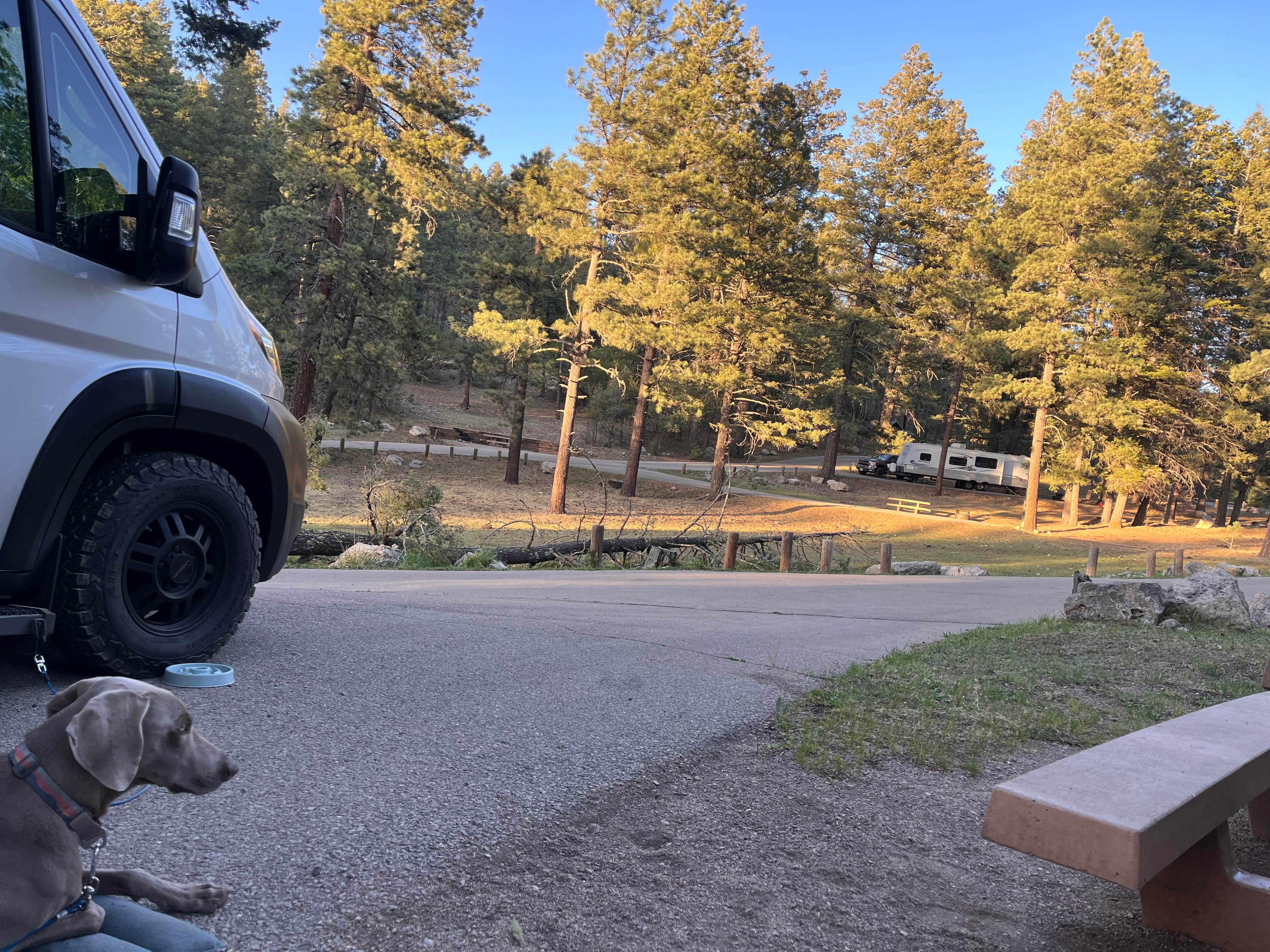 Julie F.'s photo of camping with pets at Pines Group Campground near Alamogordo, NM