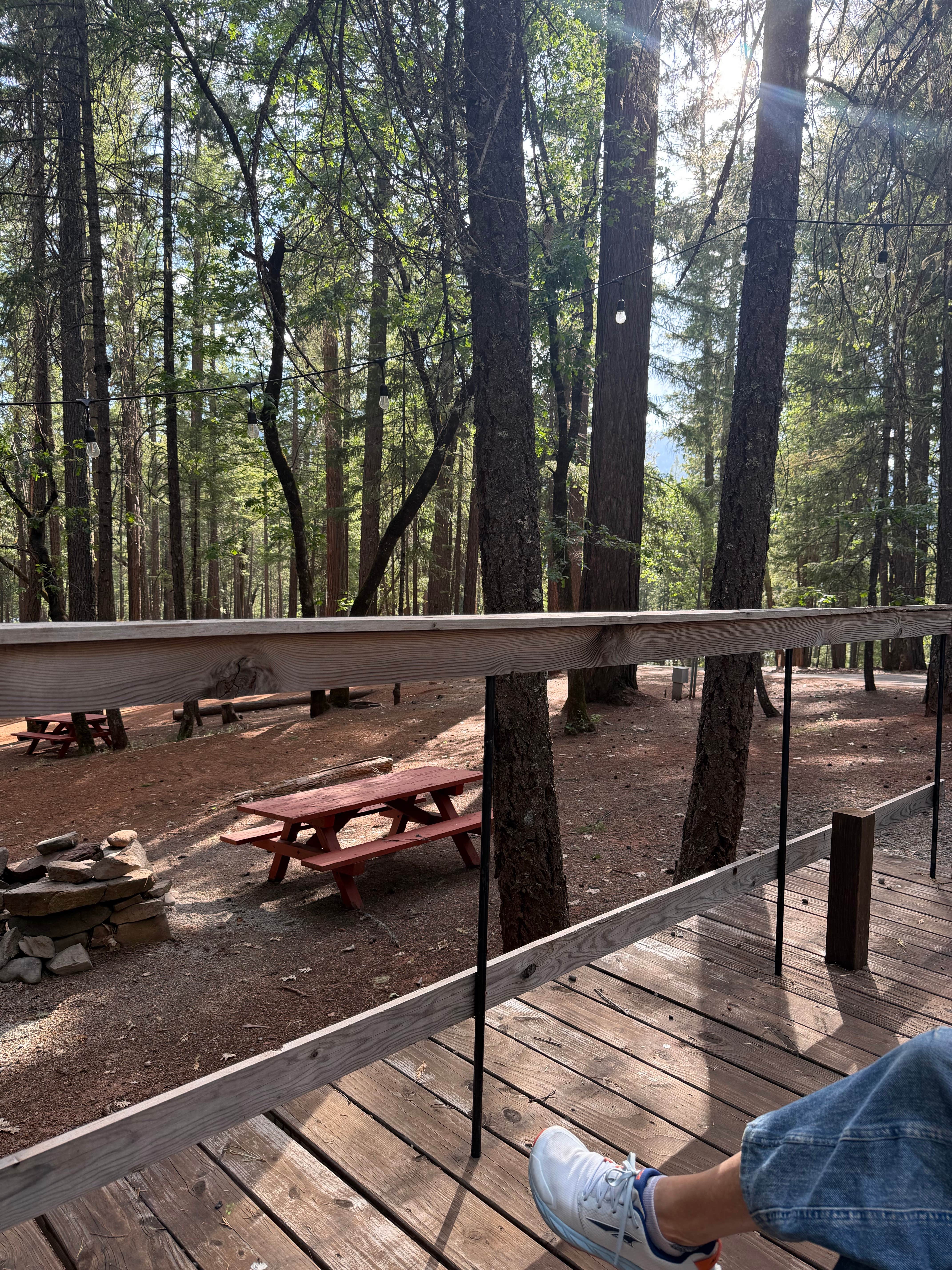 Camping near Tannery: Pinewood Cove Resort on Trinity Lake, Weaverville, California