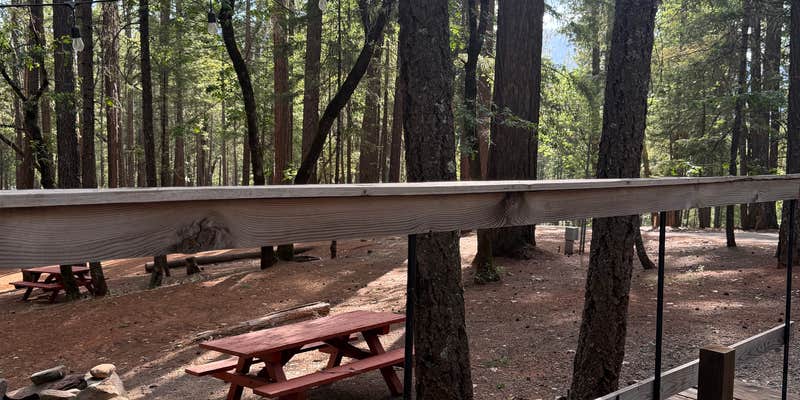 Camper submitted image from Pinewood Cove Resort on Trinity Lake