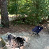 Review photo of Pinewood Lodge Campground by Chris P., July 29, 2024