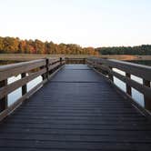 Review photo of Pinewoods Lake Rec Area — Mark Twain National Forest by Chenoa B., July 14, 2025