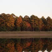 Review photo of Pinewoods Lake Rec Area — Mark Twain National Forest by Chenoa B., July 14, 2025