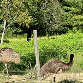 Review photo of Piney Hills Campground by Renea O., May 9, 2026