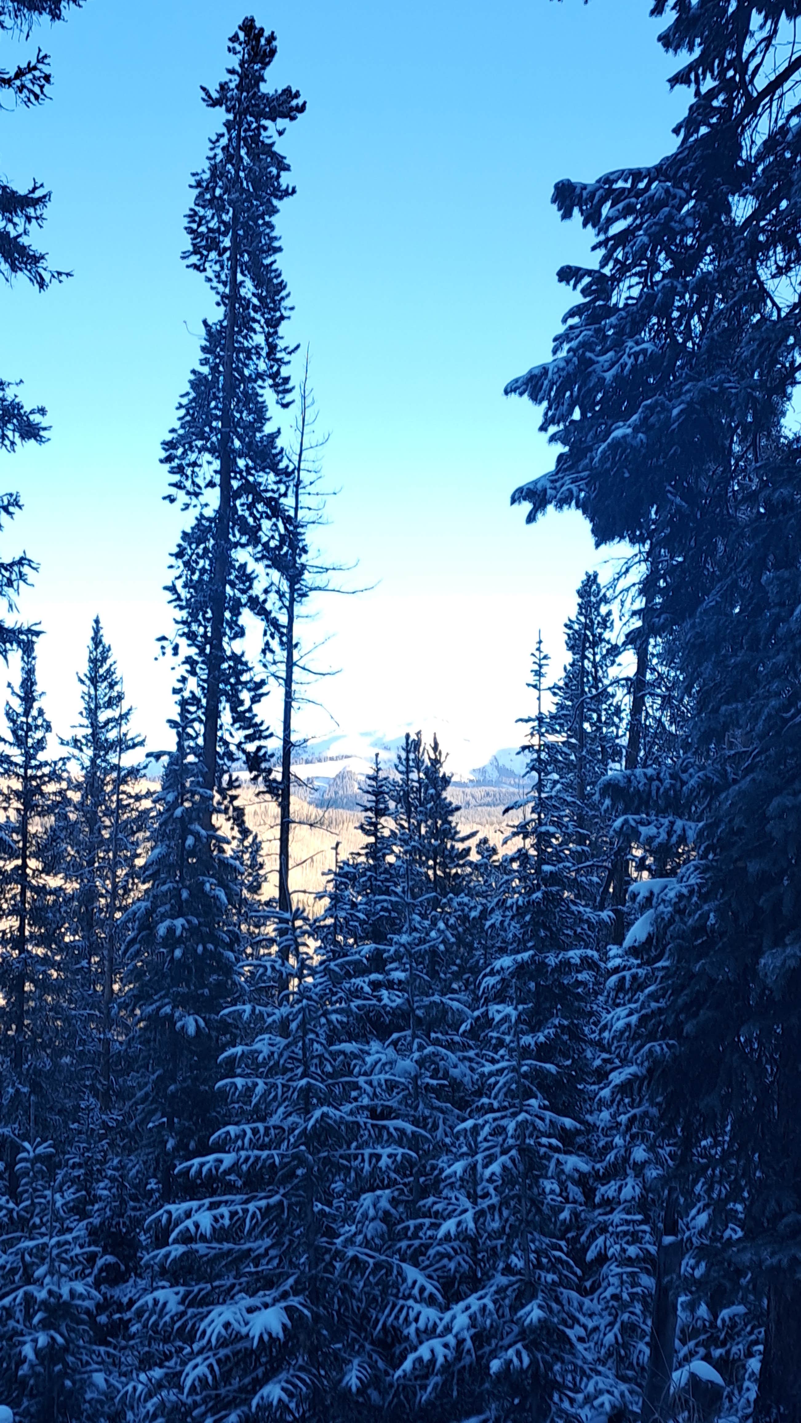 Camping near Piney Crossing Primitive Campground - CLOSED: Piney River Road Dispersed Camping, Avon, Colorado