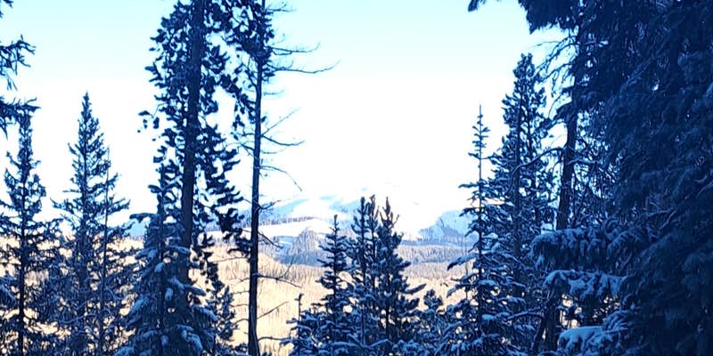 Camper submitted image from Piney River Road Dispersed Camping