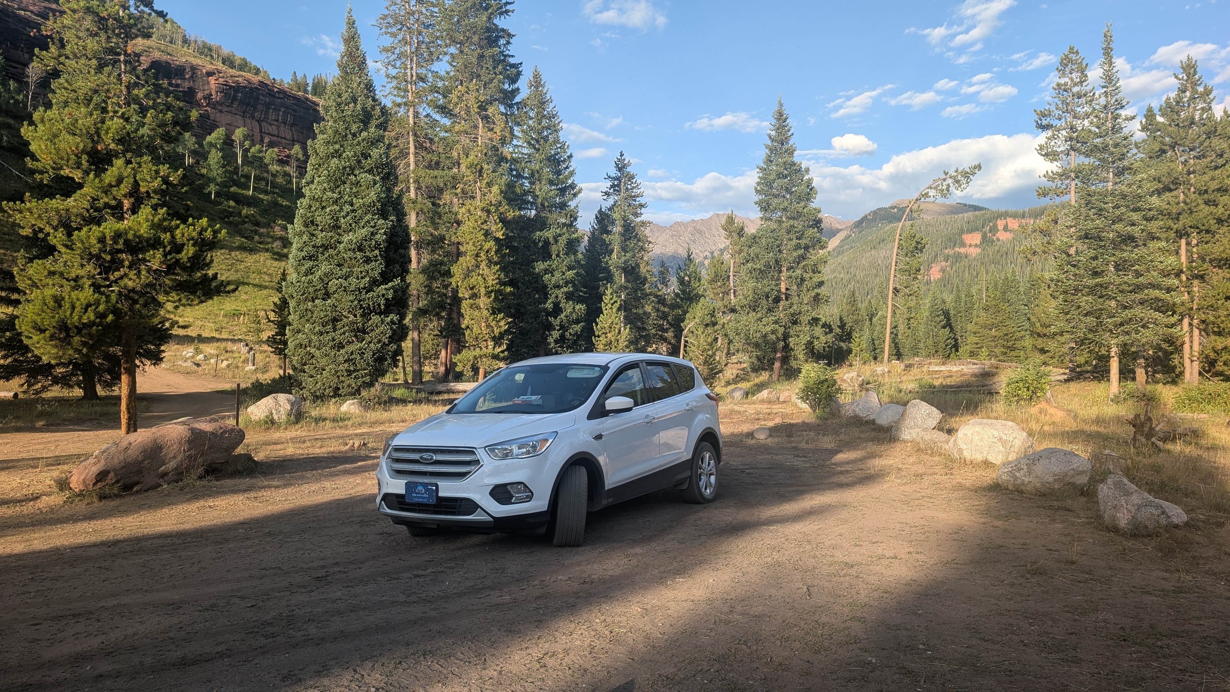 Camper submitted image from Piney River Road Dispersed Camping - 1
