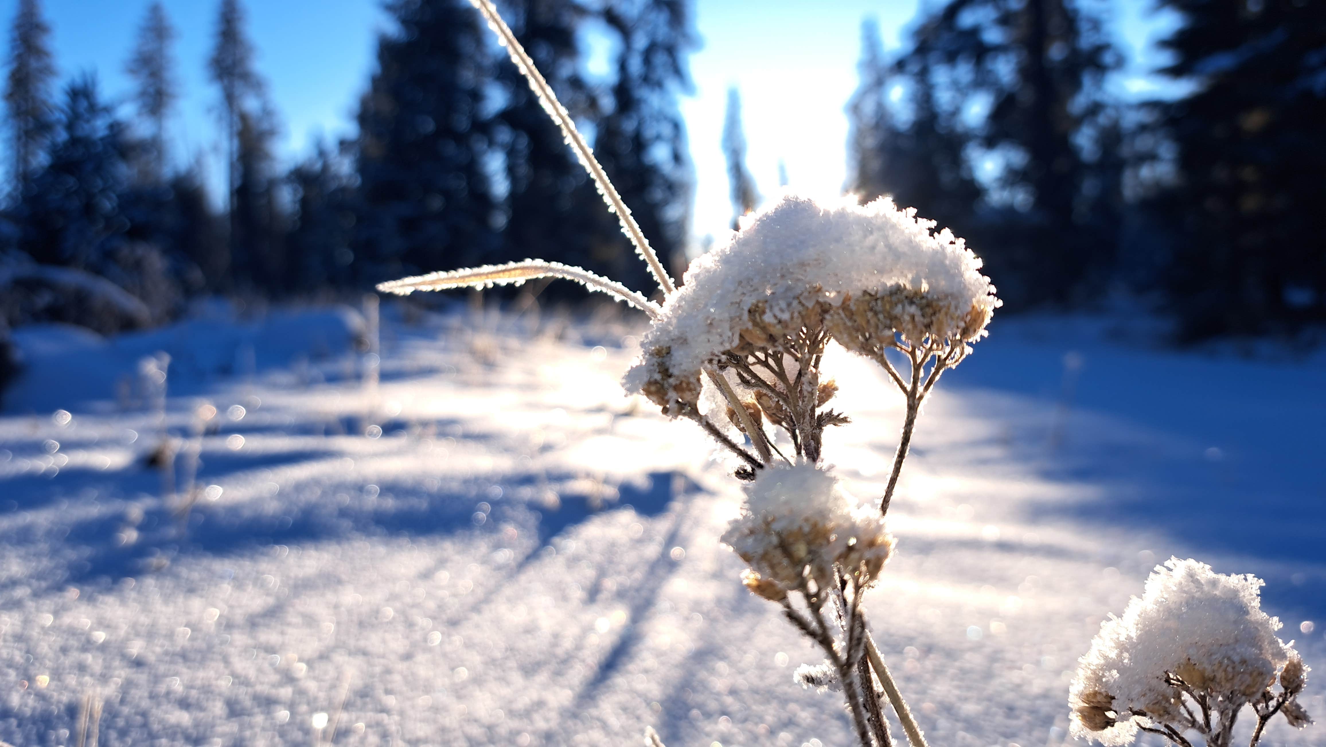 Camper-submitted photo at Piney River Road Dispersed Camping near Edwards, CO