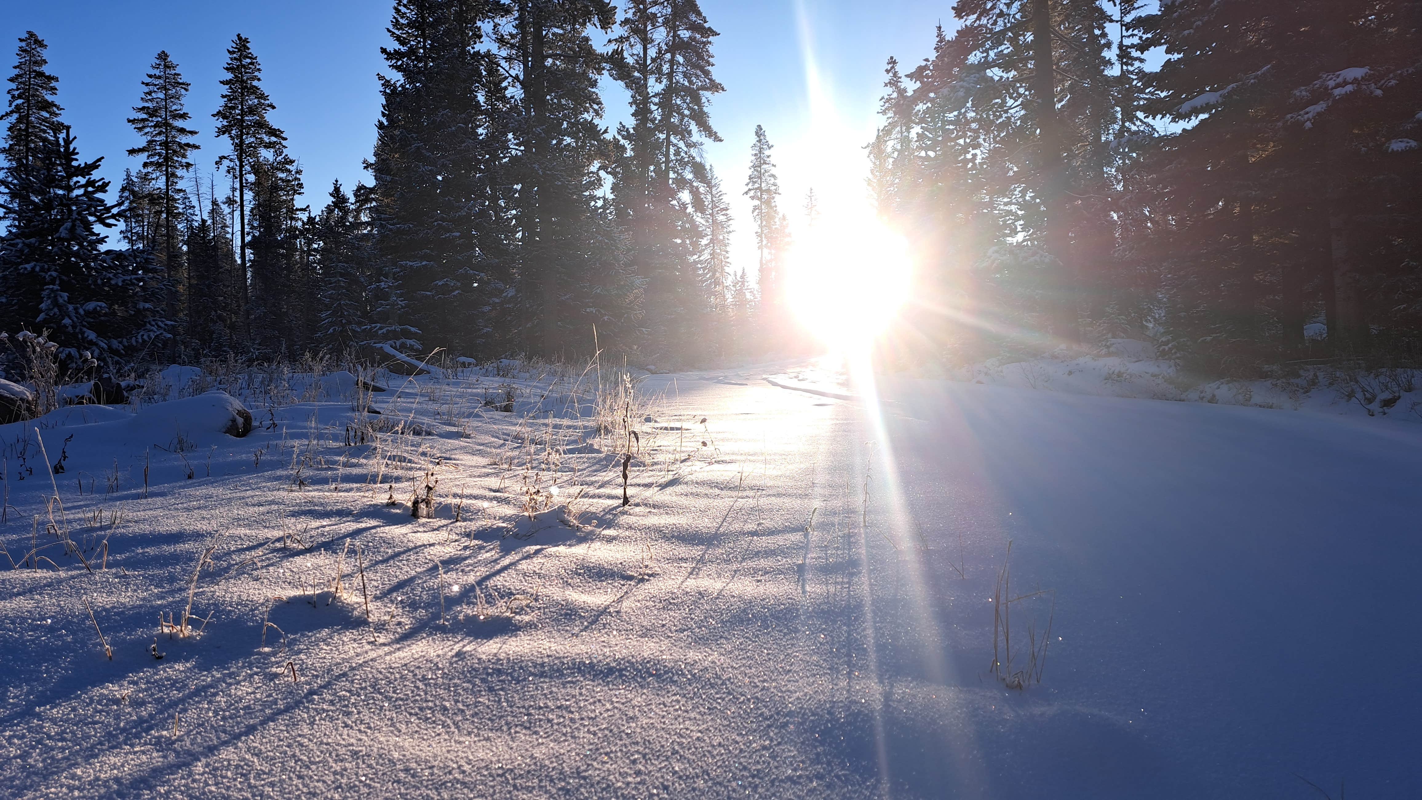 Camper-submitted photo at Piney River Road Dispersed Camping near Edwards, CO