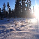 Review photo of Piney River Road Dispersed Camping by Sarah S., November 23, 2025