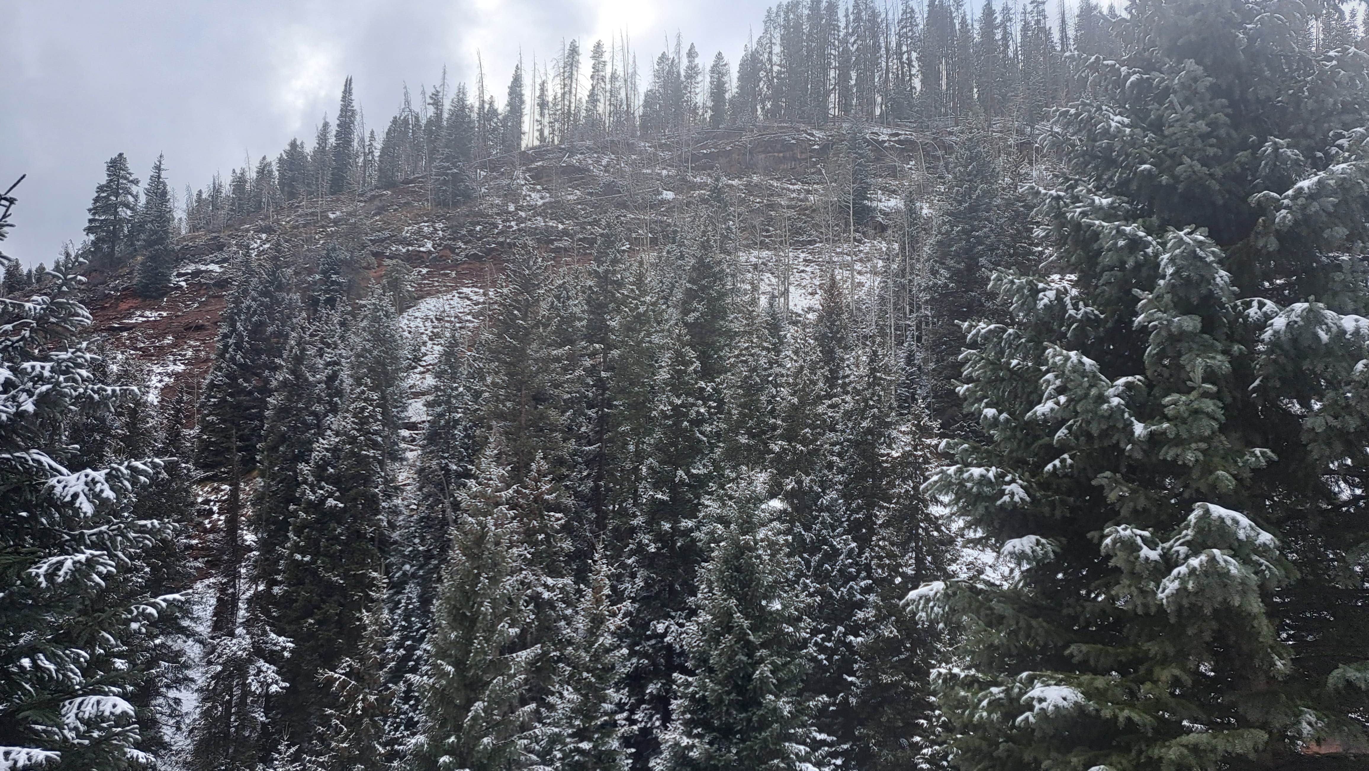 Camper-submitted photo at Piney River Road Dispersed Camping near Edwards, CO
