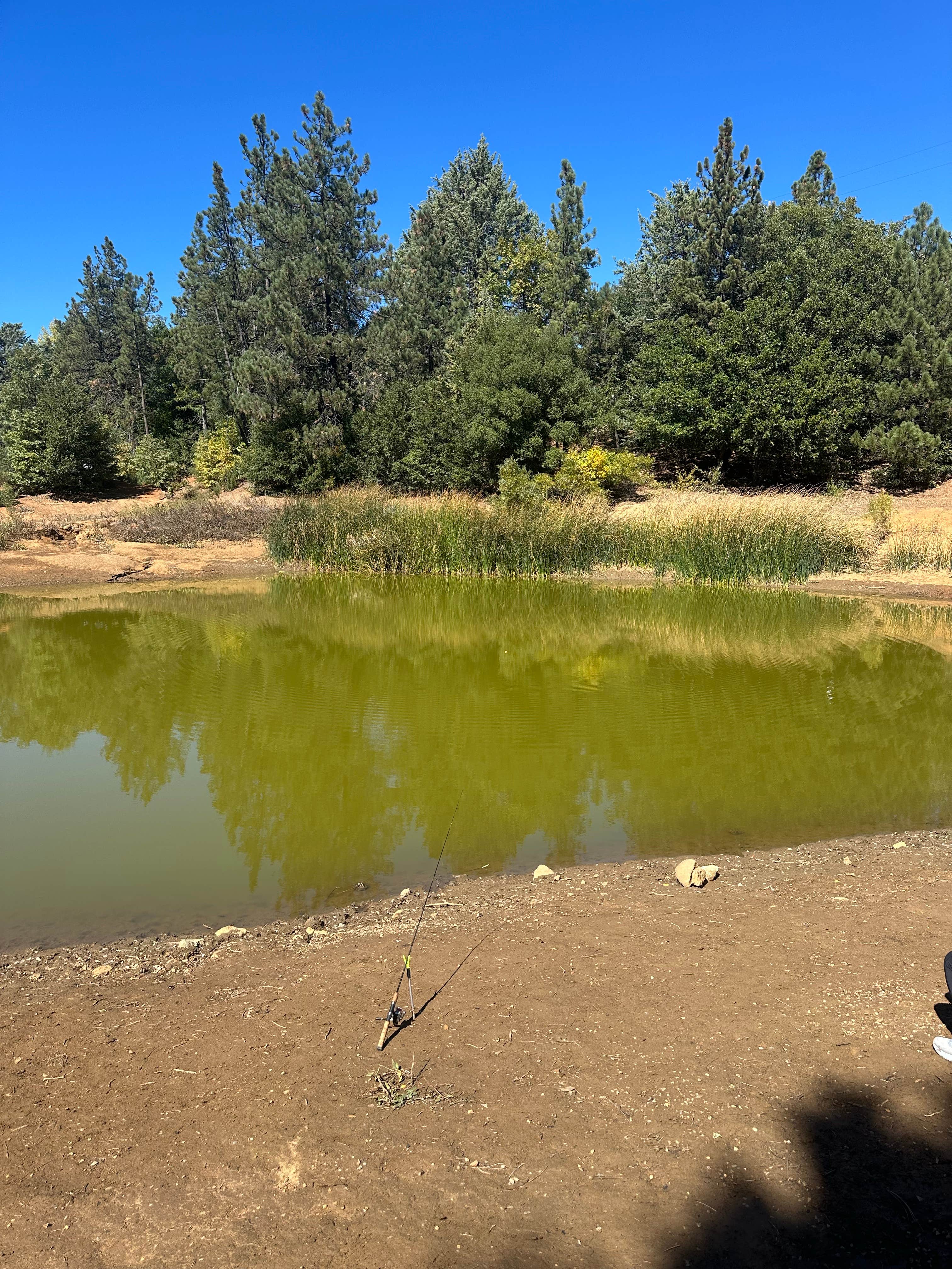 Camper-submitted photo at Pinezanita RV Park & Campground near Julian, CA