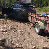 Review photo of Pingree Road Dispersed Camping by Voyager D., July 30, 2024