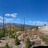 Review photo of Pingree Road Dispersed Camping by Lark H., October 2, 2024