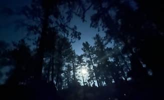 Lark H.'s photo of a dispersed camping area at Pingree Road Dispersed Camping near Estes Park, CO