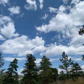 Review photo of Pingree Road Dispersed Camping by Megan T., September 17, 2025