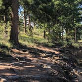 Review photo of Pingree Road Dispersed Camping by Amber B., August 10, 2025