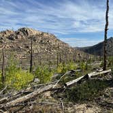 Review photo of Pingree Road Dispersed Camping by Lark H., October 2, 2024