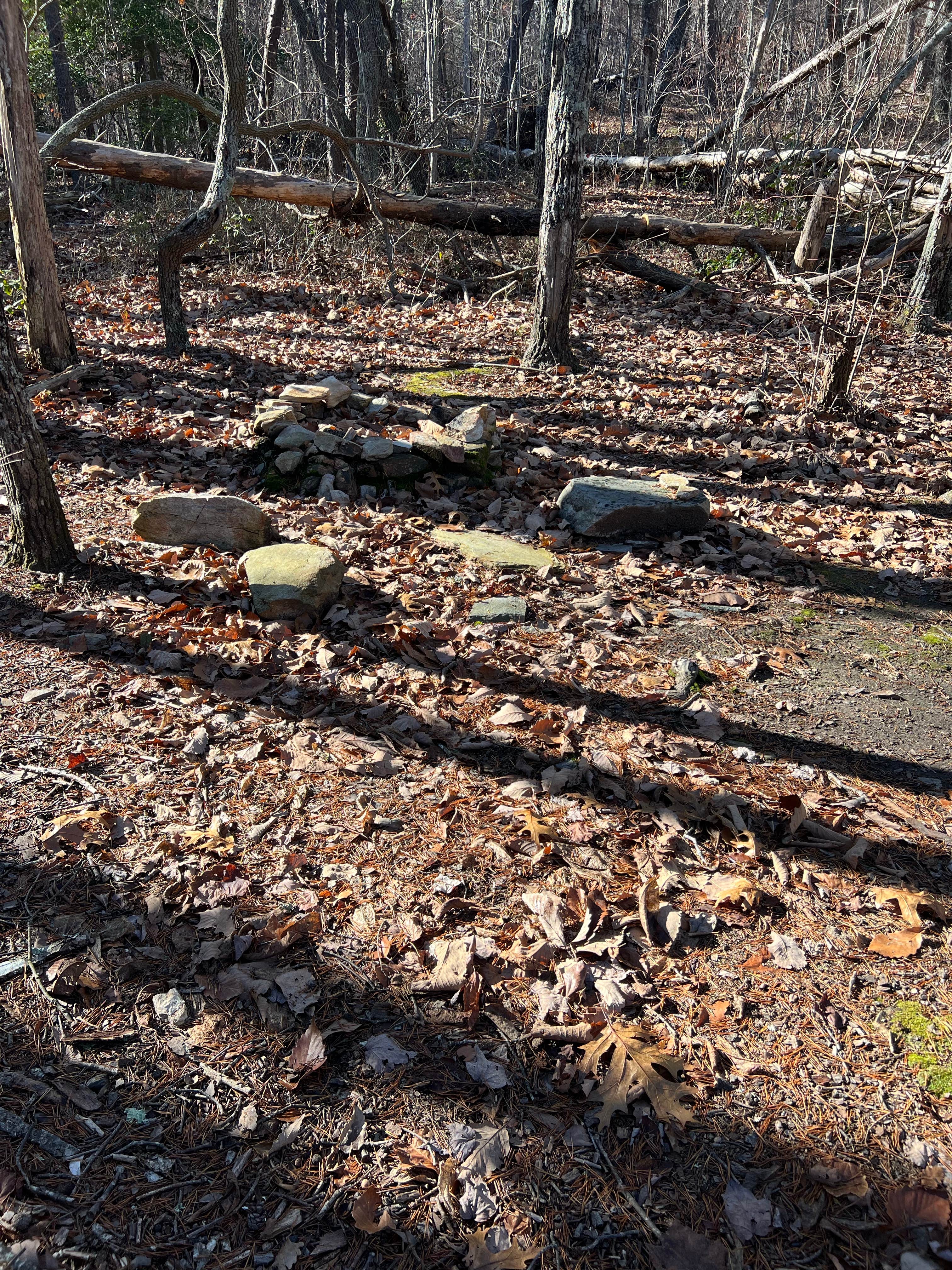 Camper submitted image from Pinhoti Campground North of Talladega Scenic Drive 1 — Cheaha State Park - 1